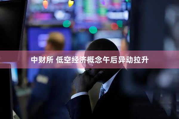 中财所 低空经济概念午后异动拉升