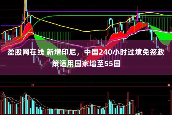 盈股网在线 新增印尼，中国240小时过境免签政策适用国家增至55国