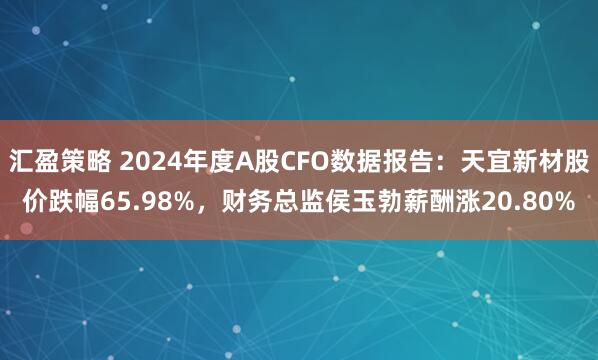 汇盈策略 2024年度A股CFO数据报告：天宜新材股价跌幅65.98%，财务总监侯玉勃薪酬涨20.80%