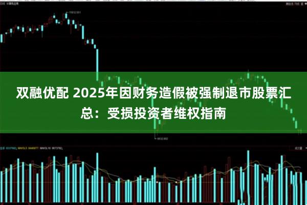 双融优配 2025年因财务造假被强制退市股票汇总：受损投资者维权指南