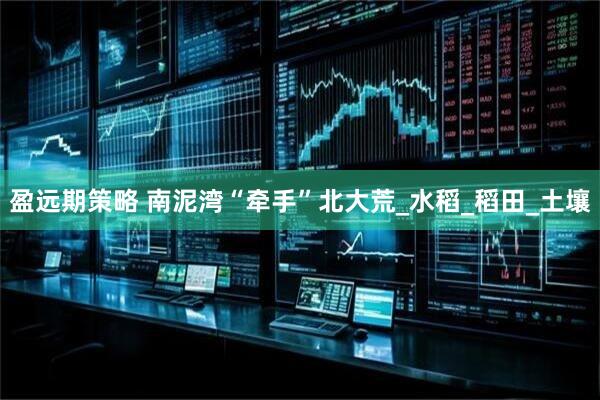 盈远期策略 南泥湾“牵手”北大荒_水稻_稻田_土壤