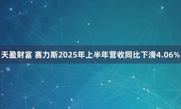 天盈财富 赛力斯2025年上半年营收同比下滑4.06%