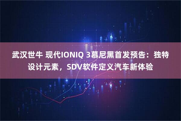 武汉世牛 现代IONIQ 3慕尼黑首发预告：独特设计元素，SDV软件定义汽车新体验