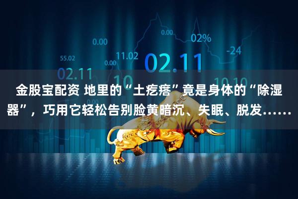 金股宝配资 地里的“土疙瘩”竟是身体的“除湿器”，巧用它轻松告别脸黄暗沉、失眠、脱发……